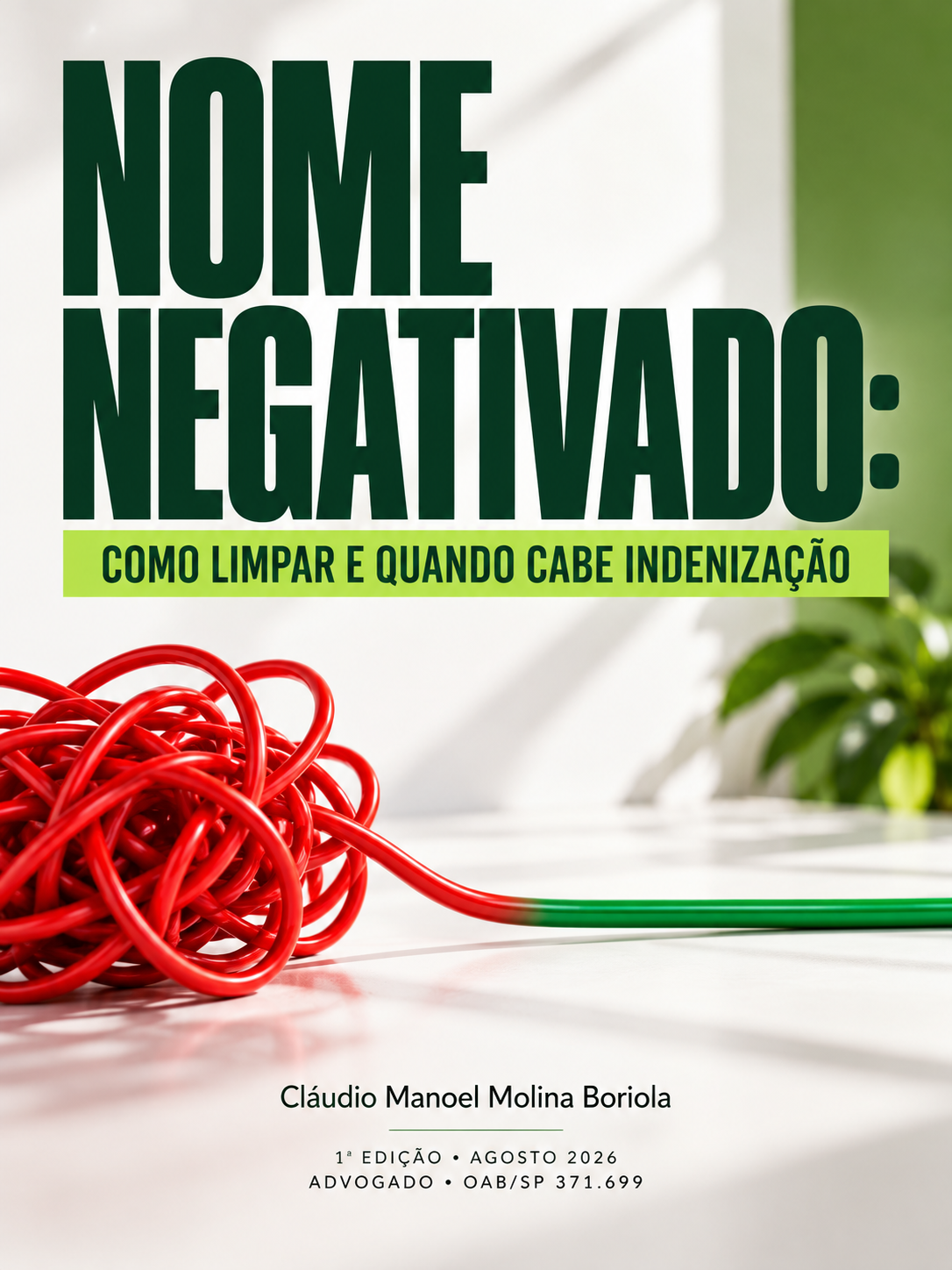 Capa de Nome Negativado: Como Limpar e Quando Cabe Indenização